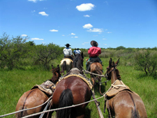 Argentina-Corrientes-El Dorado Estancias Ride